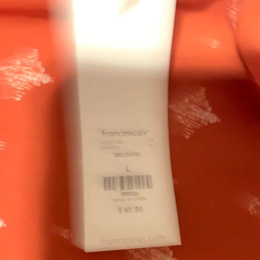 Francesca’s burnt orange top- large - Picture 6 of 9